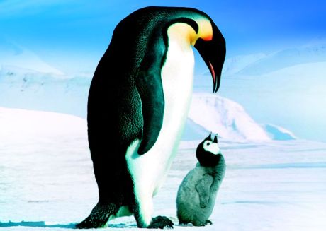 Pingviinide marss