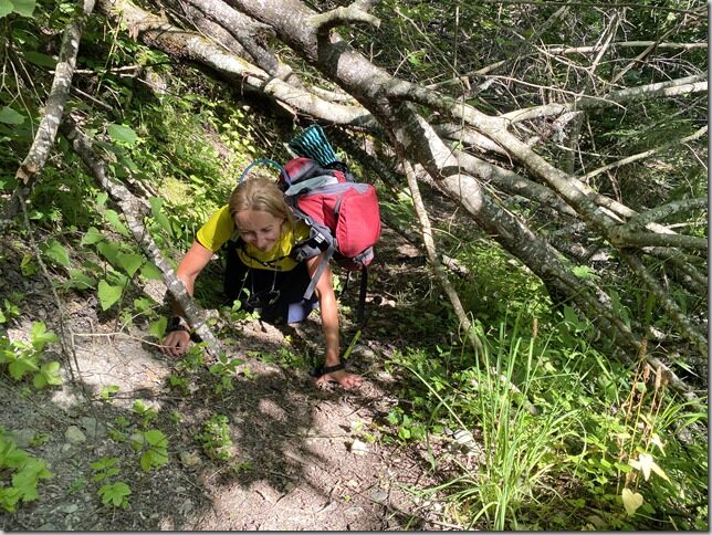 UTMB rajal UTMB rajal