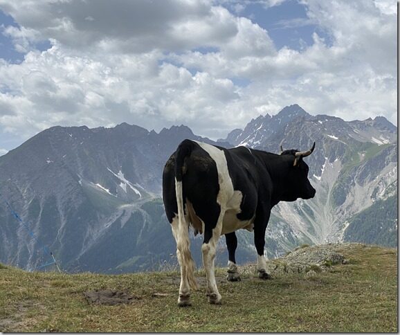 UTMB rajal UTMB rajal