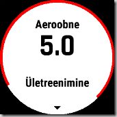 Treeningu efektiivsus
