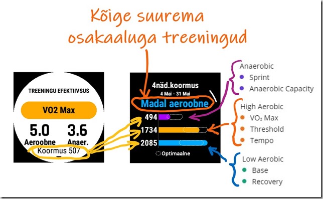 Treeningu koormus erinevates tsoonides