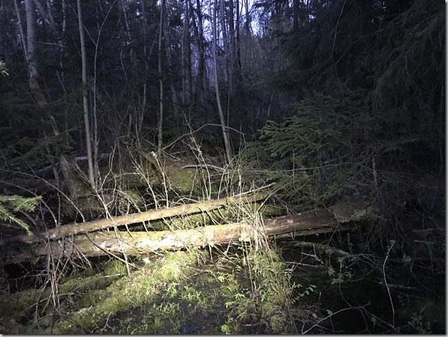 111km sirgjoonejooks l&auml;bi Eestimaa