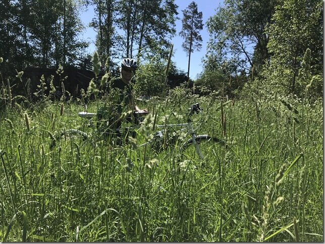 Suvine L&otilde;una-Eesti