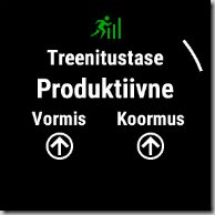 Garmin treenituse tase