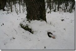 IMG_3325 IMG_3325