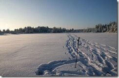 laukasoo järv