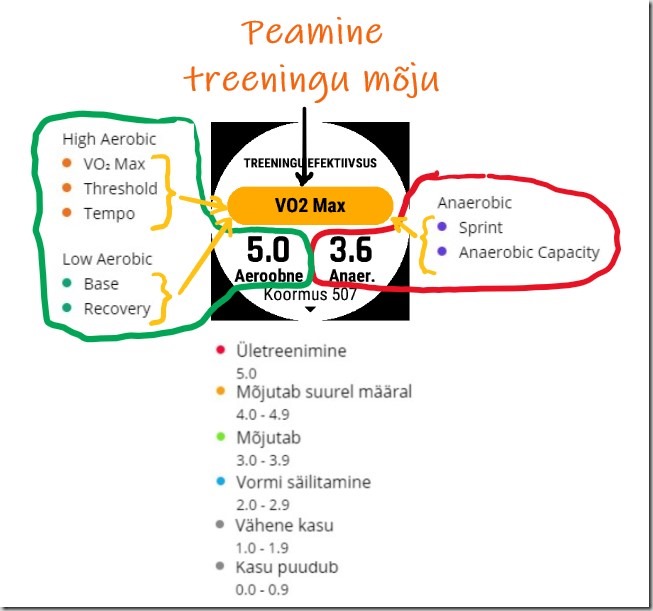 Treeningu efektiivsus ja m&otilde;ju