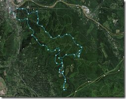 Tiger Mountain