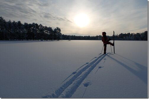 Koitjärve rabas
