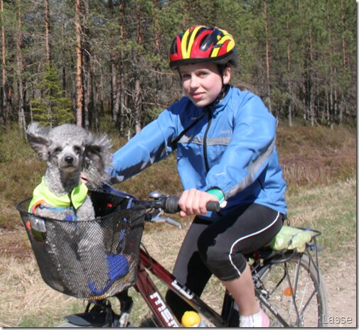Lasse